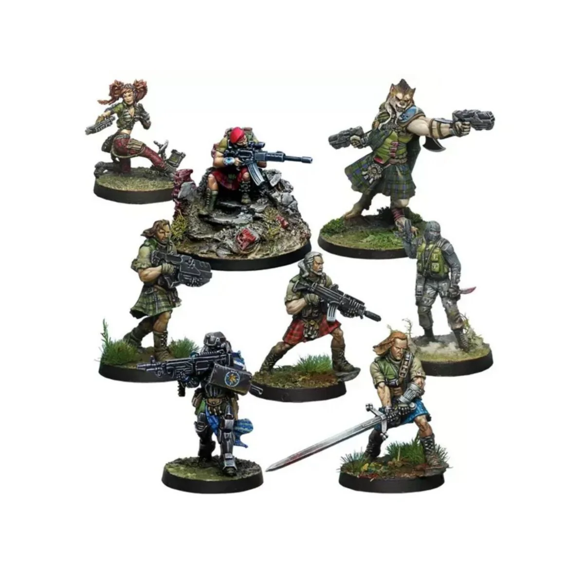 New Arrivals
